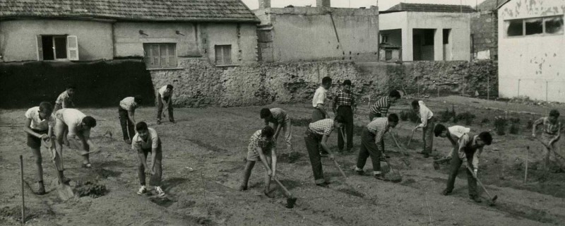 שיעור חקלאות מקווה ישראל 1960